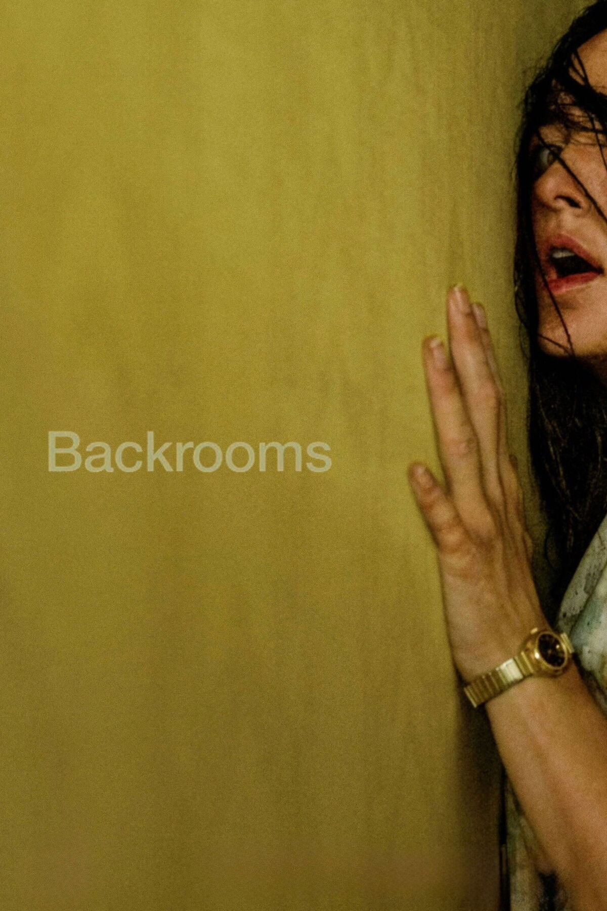 Backrooms Poster